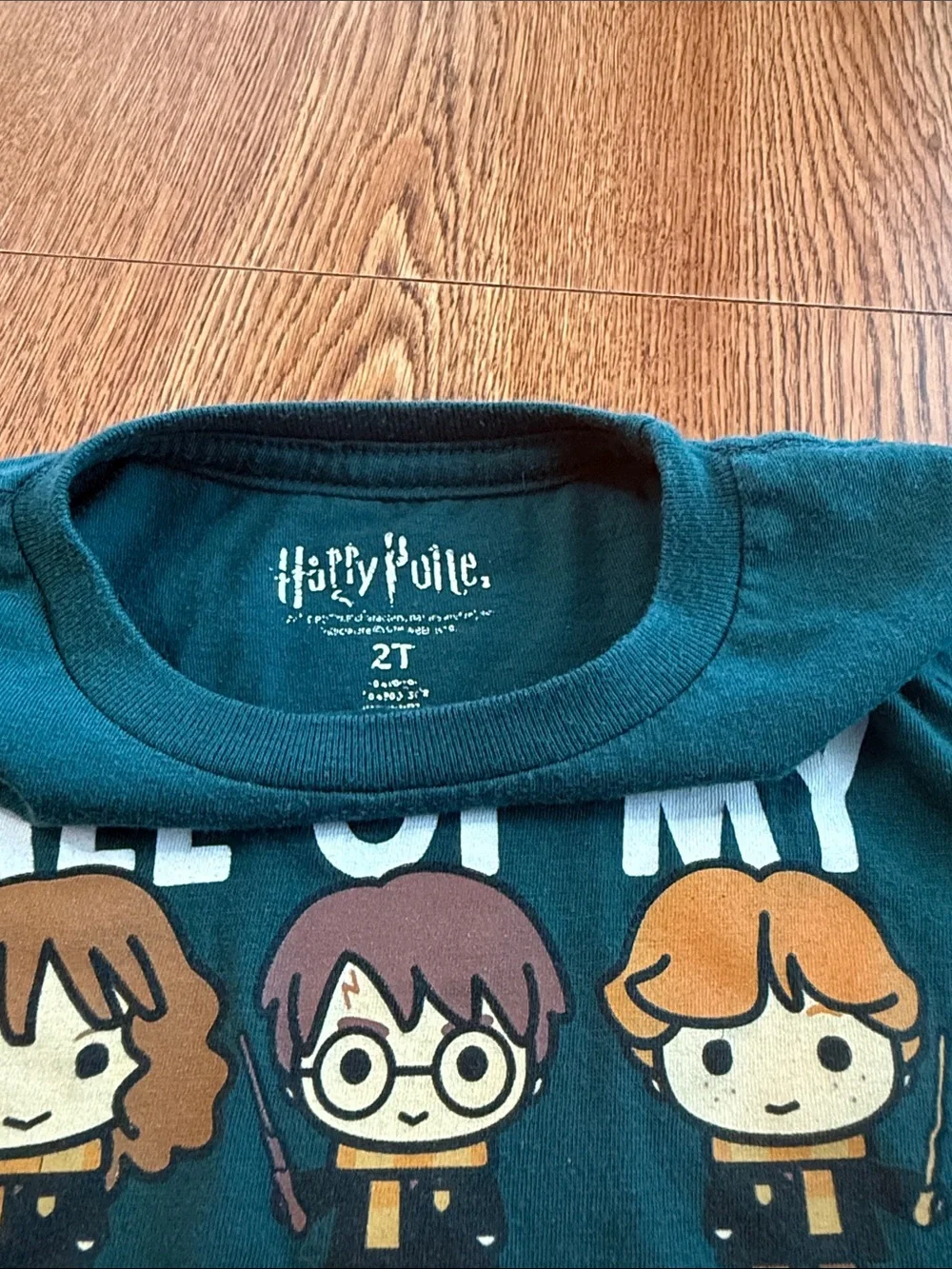 Wizarding World Of Harry Potter soft teal